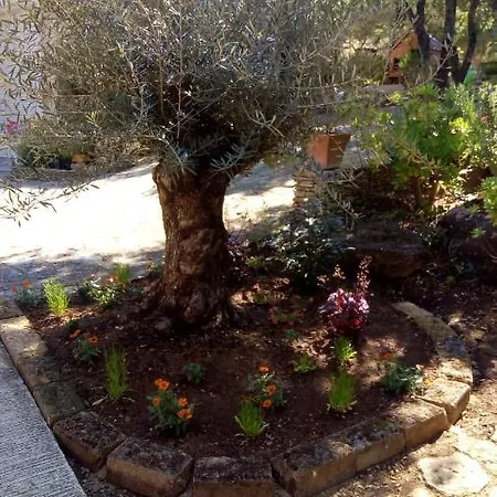 Charmant Studio A Du Gard דירה